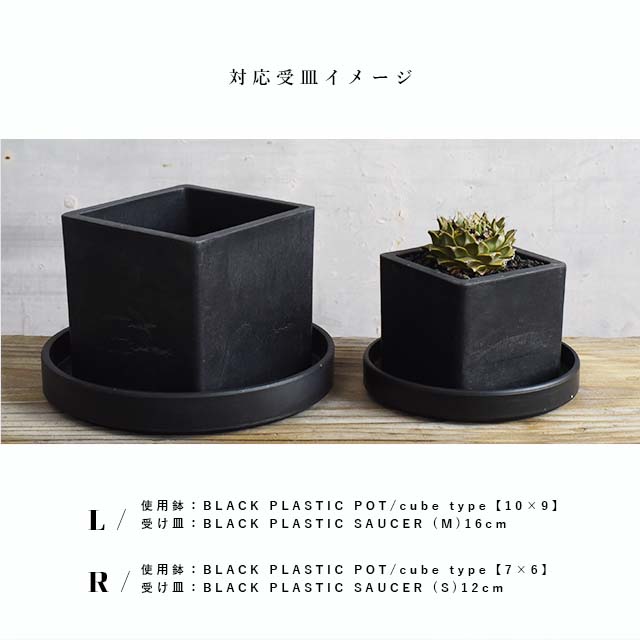 楽天市場】BLACK PLASTIC POT【CUBE TYPE】10cm×9cm 黒 プラ鉢 3号