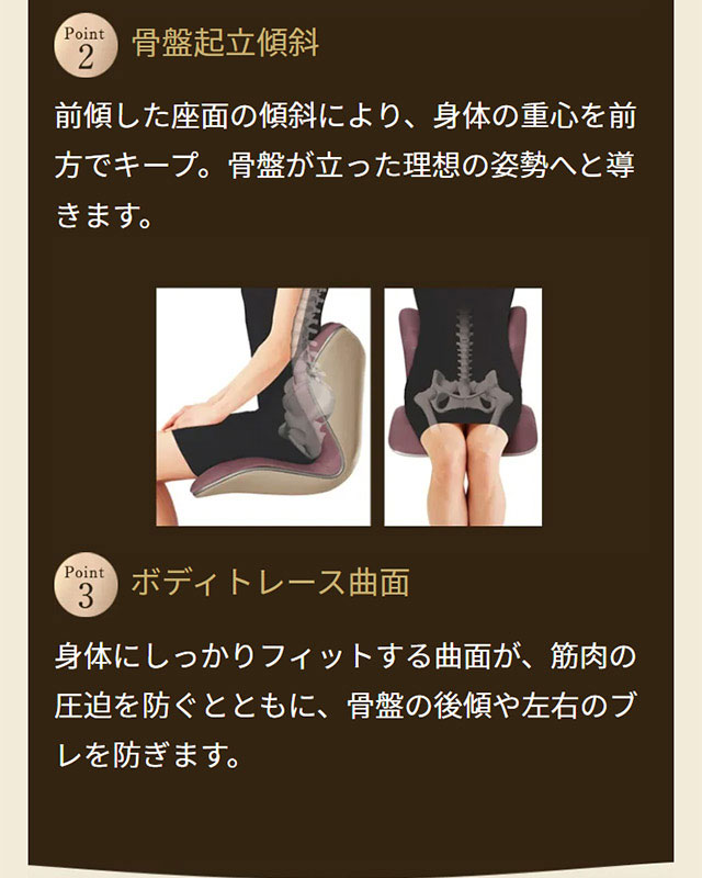 楽天市場】【メーカー正規販売店】 スタイルプレミアム Style PREMIUM