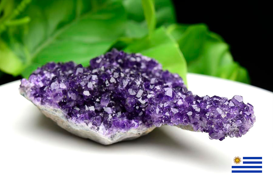 楽天市場】フラワー アメジスト クラスター 原石 ◇ウルグアイ