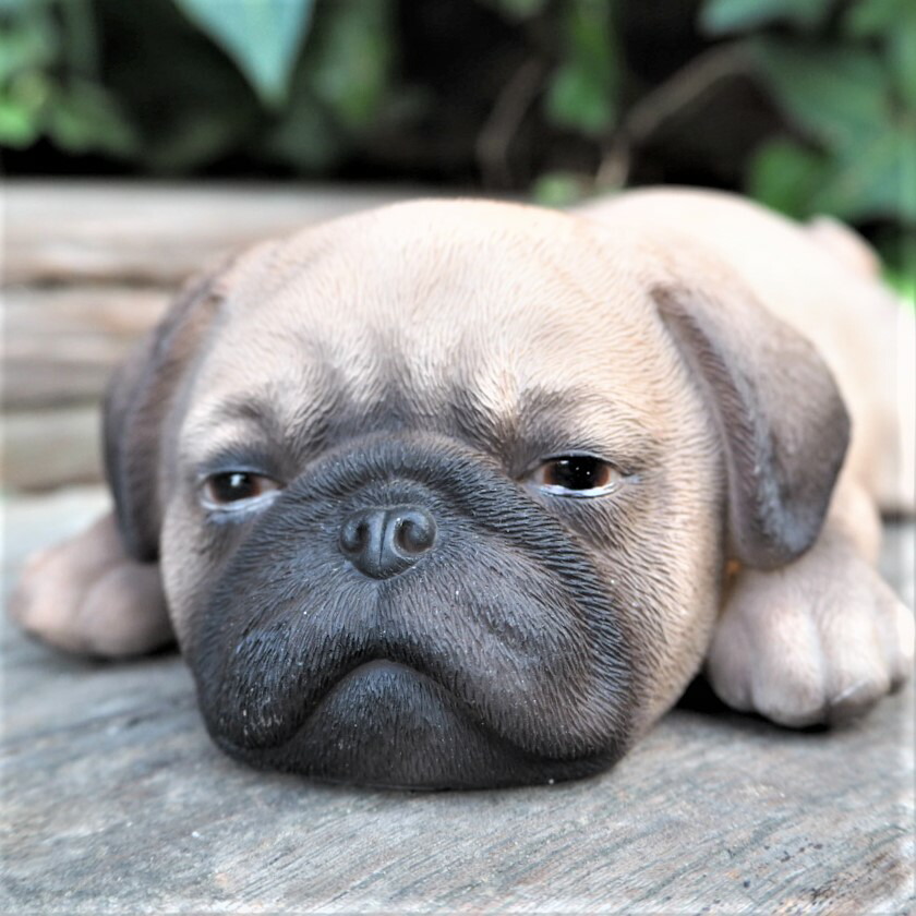 楽天市場】犬の置物 パグ うつ伏せ T14267 いぬ イヌ 動物