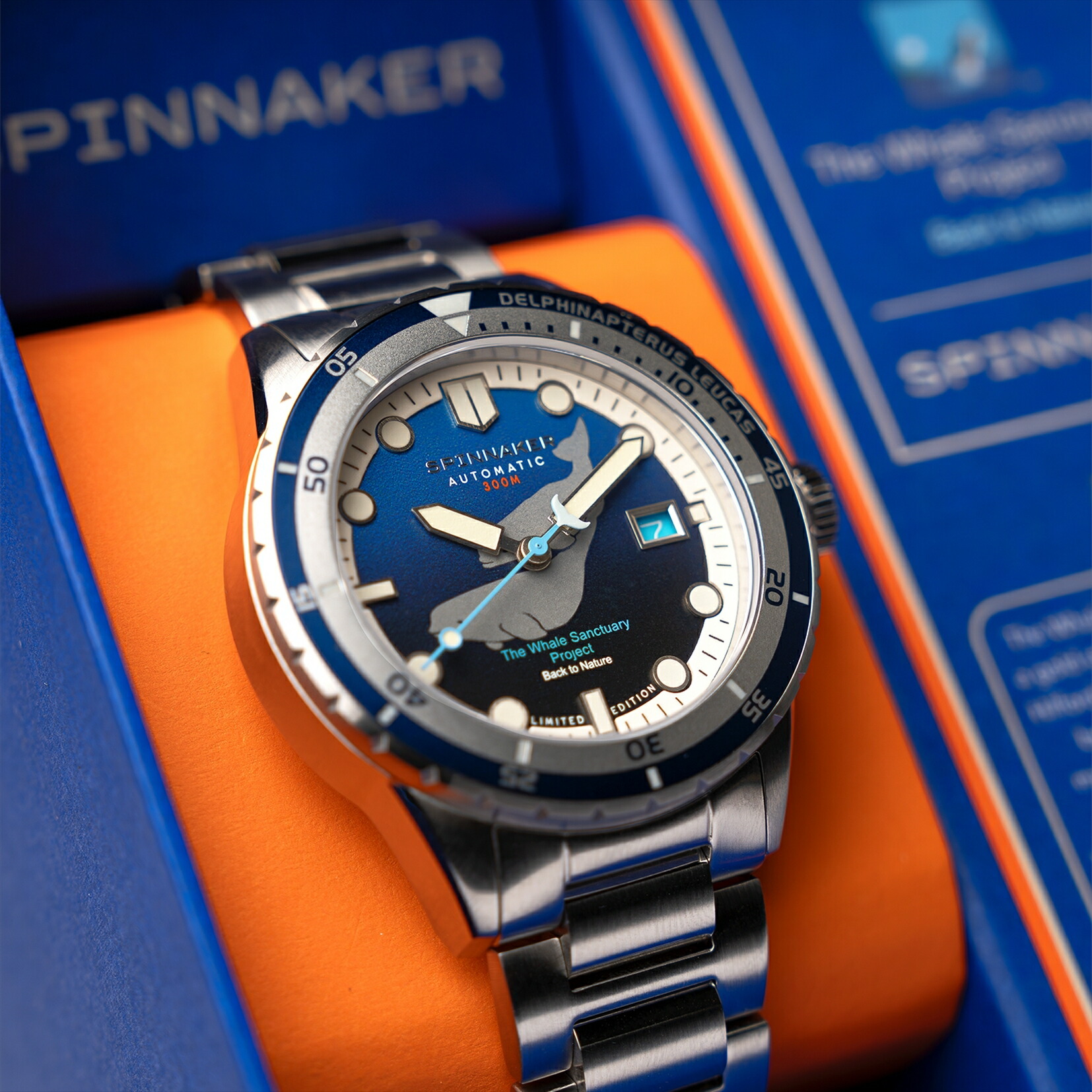 楽天市場】【ブランド直営店】スピニカー SPINNAKER ホエール