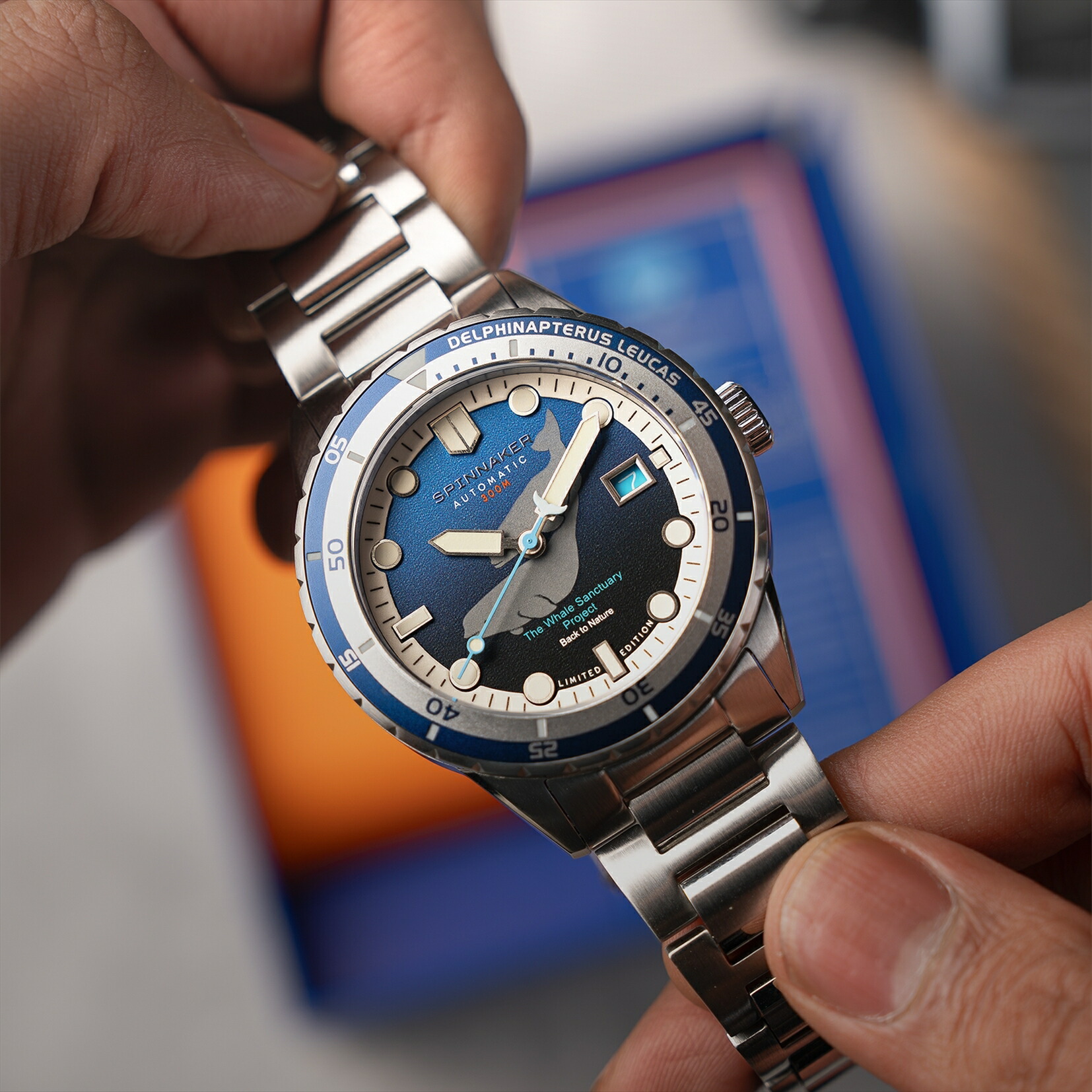 楽天市場】【ブランド直営店】スピニカー SPINNAKER ホエール