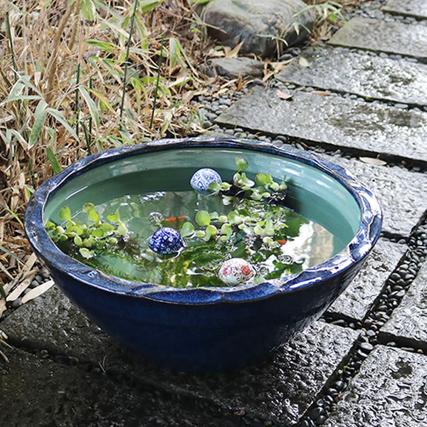 睡蓮鉢 20号」の人気商品一覧 | 安い商品を通販サイトから探す - 価格.com