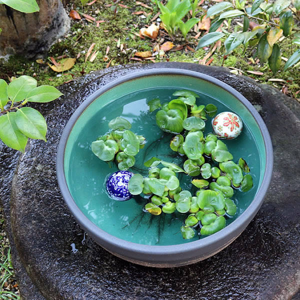 楽天市場】【ポイント10倍】13号はけ目水鉢 すいれん鉢 信楽焼すいれん