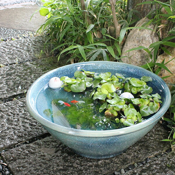 楽天市場】【ポイント10倍】16号ブルーガラス信楽焼すいれん鉢 メダカ