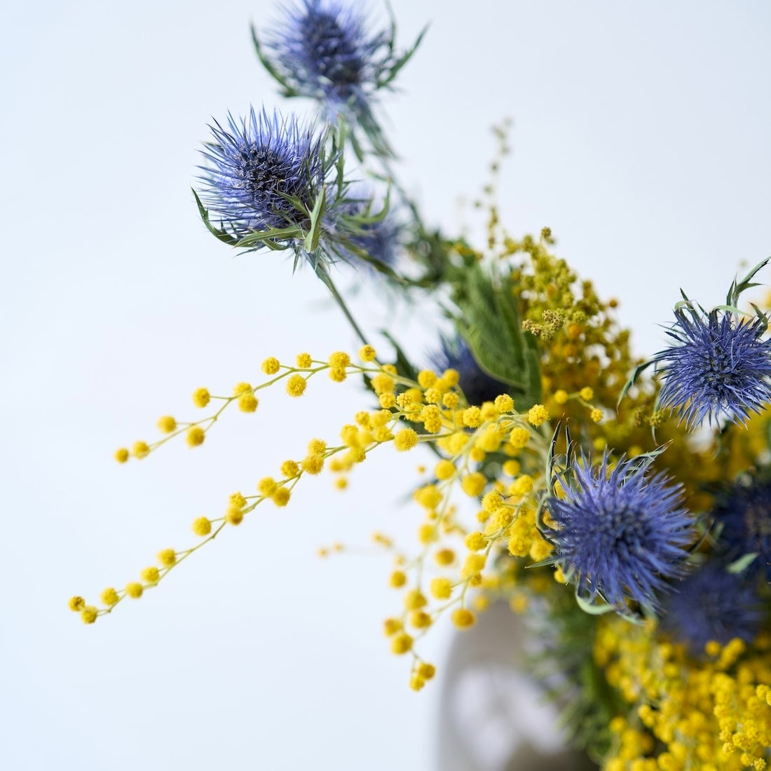 ミモザとおすすめドライフラワーセット 商品ページ - 土と風の植物園