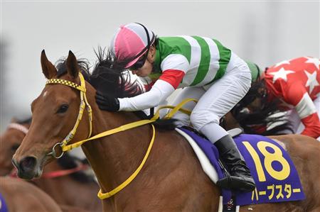 昨年の桜花賞馬・ハープスターが引退｜競馬ニュース｜競馬予想のウマニティ