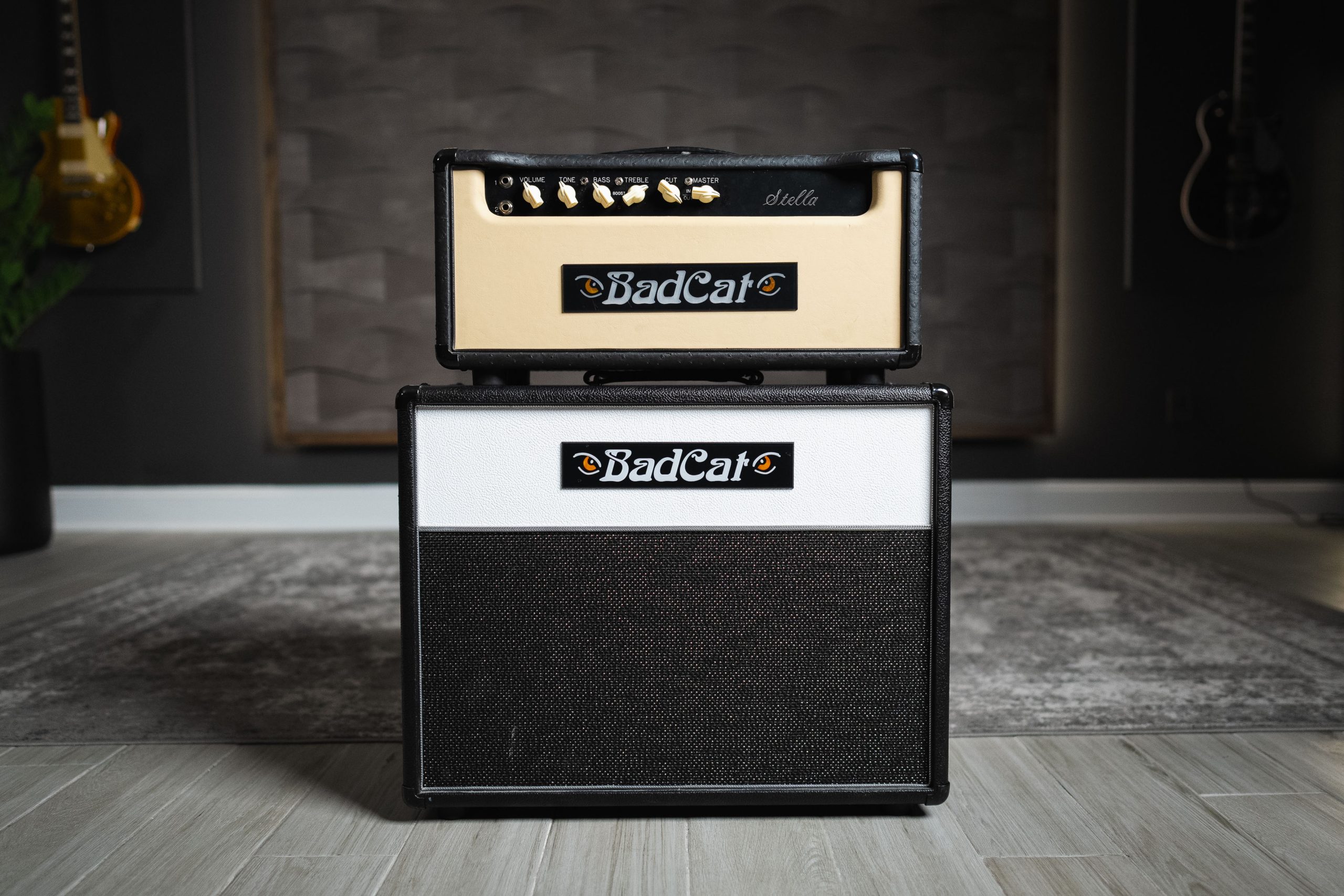 BadKat Stellar - Tone Match Gen2 Presets and Captures - Worship