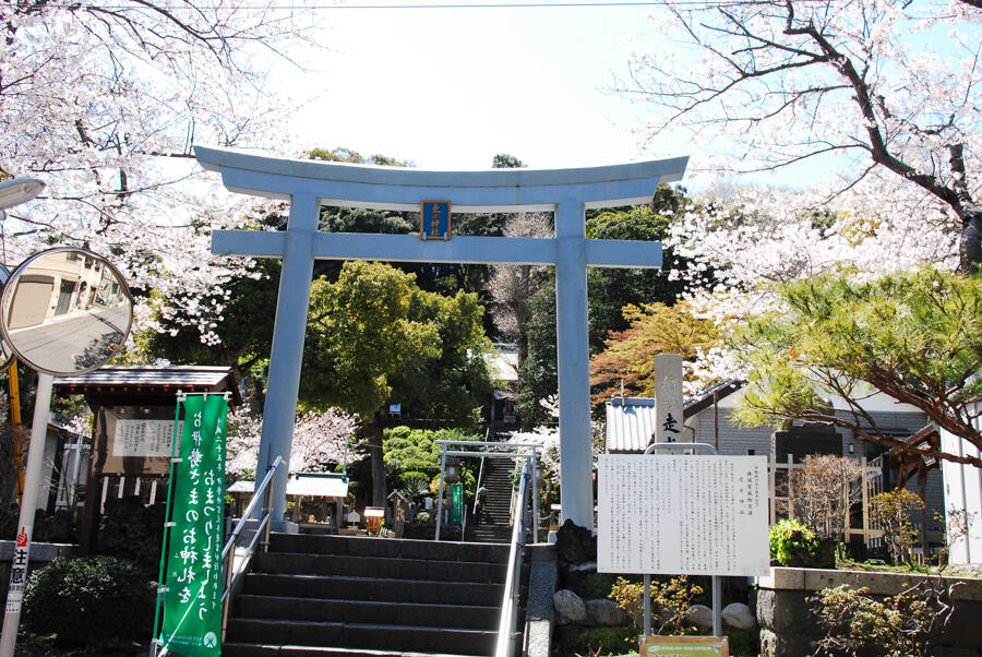 走水神社 | 横須賀市観光情報
