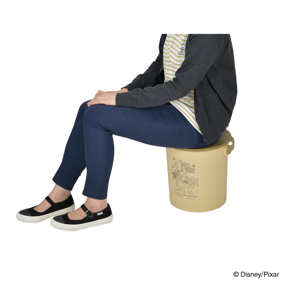 ディズニー 座れるバケツ15L（トイ・ストーリー／フレンズ