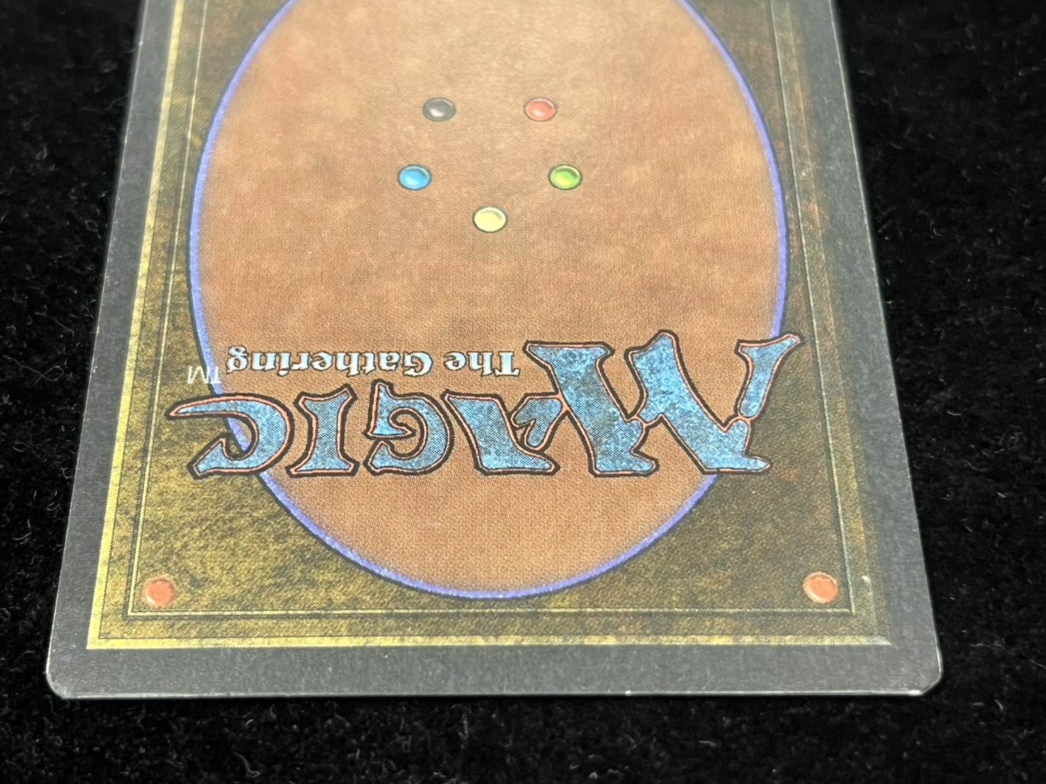 EX]Drop of Honey《英語》【ARN】#274