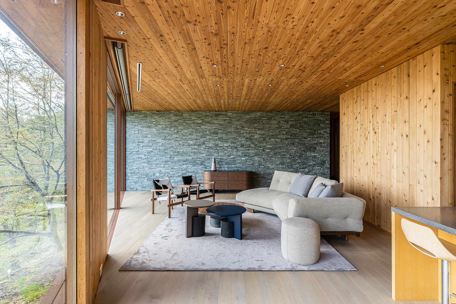 長野県 K様邸 - 納品事例 | カッシーナ・イクスシー