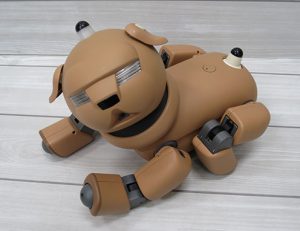 ブサ可愛いERS-31L | 愛慕ドック