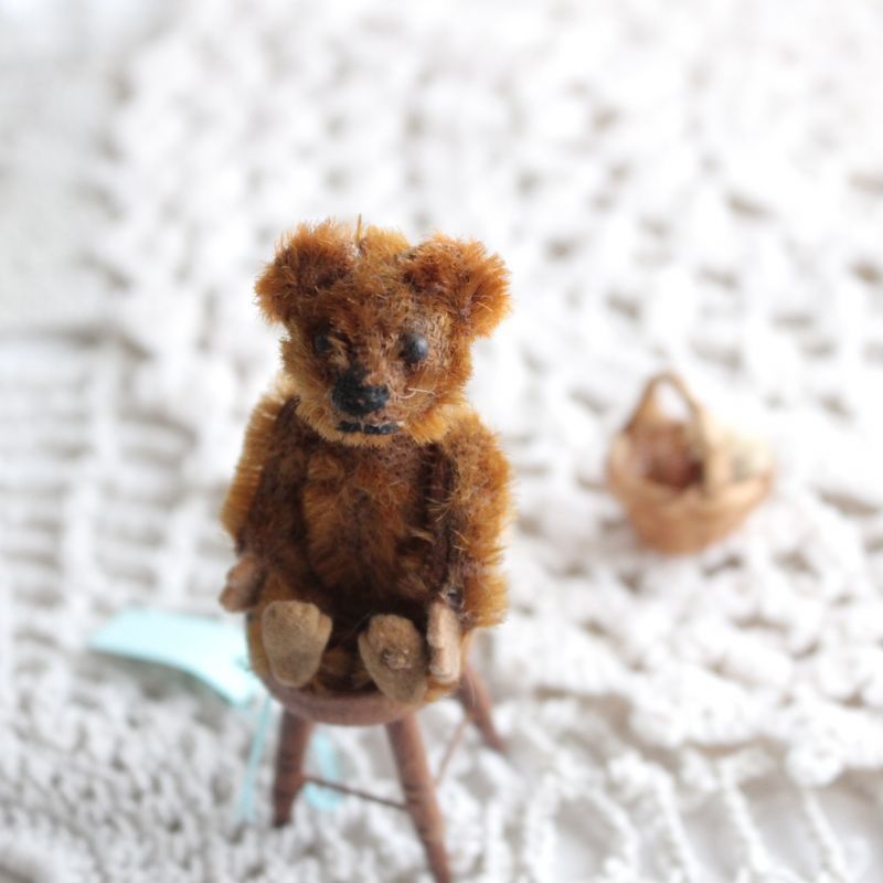 シュコー社アンティークピッコロシリーズテディベア/Antique Teddybear