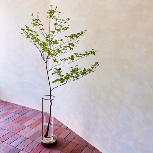 青山フラワーマーケット/EDAベースL | 青山フラワーマーケット｜花束