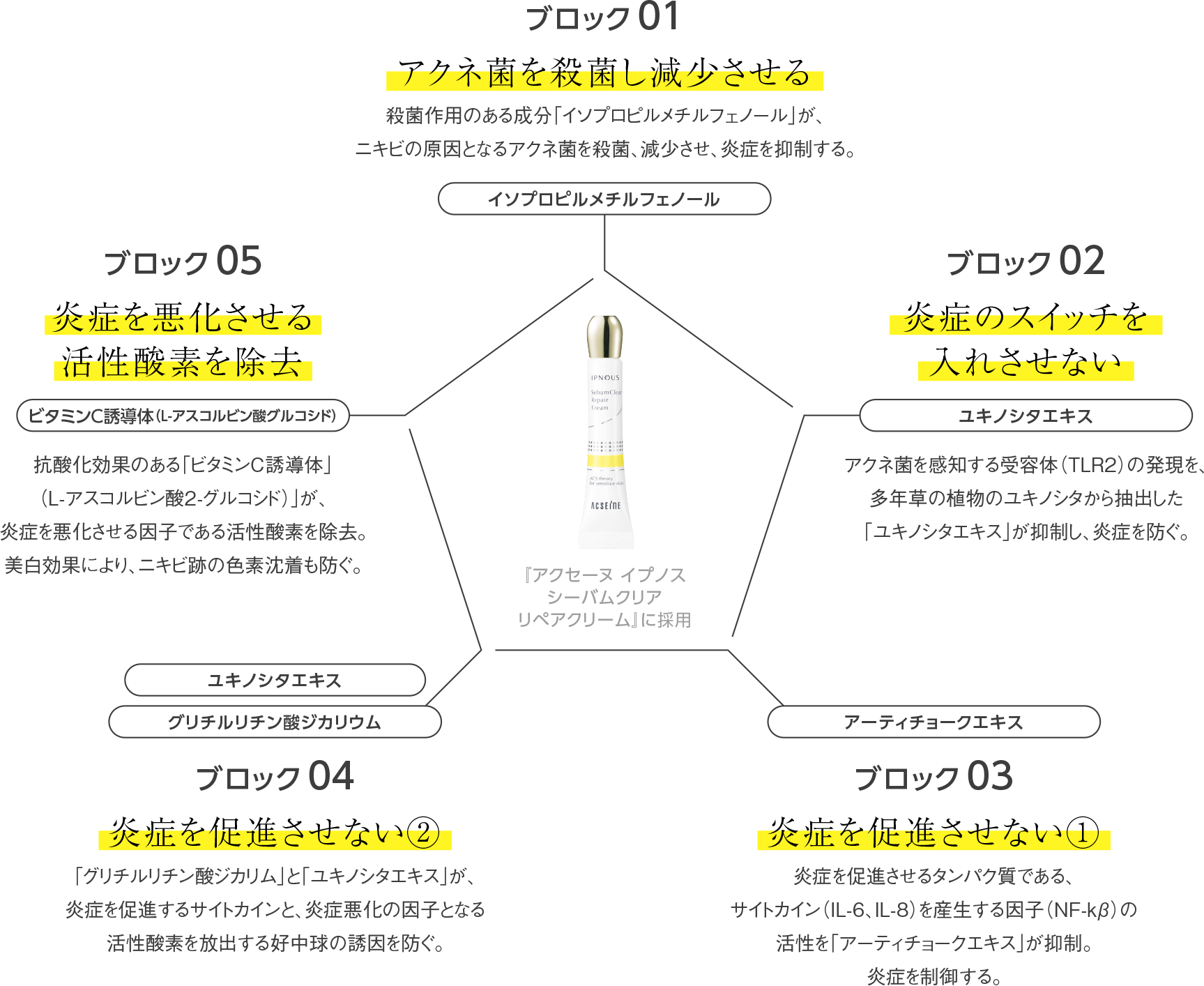 アクセーヌ イプノス