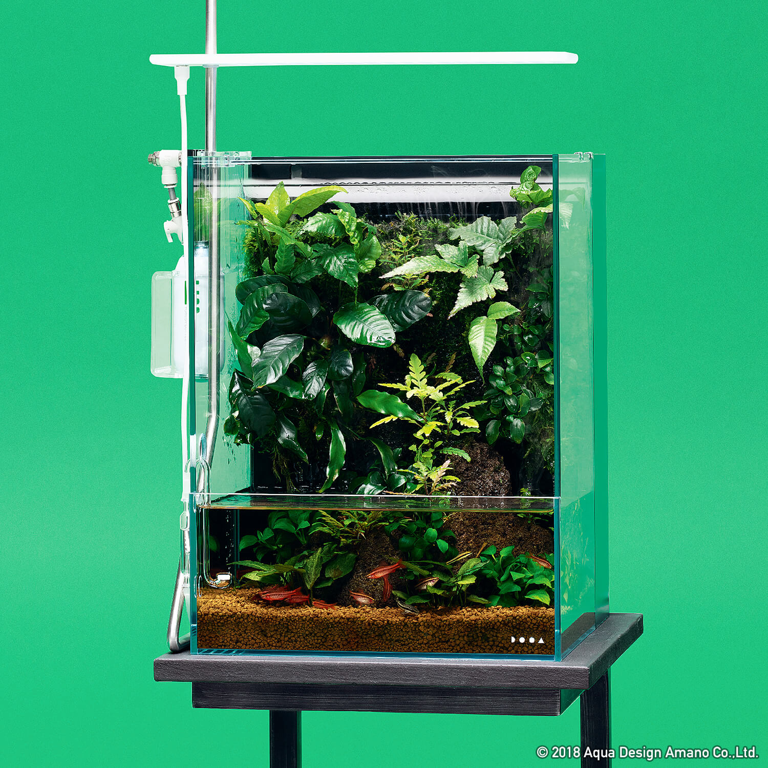 DOOAレシピ】#01「熱帯雨林の水辺」 | AQUA DESIGN AMANO