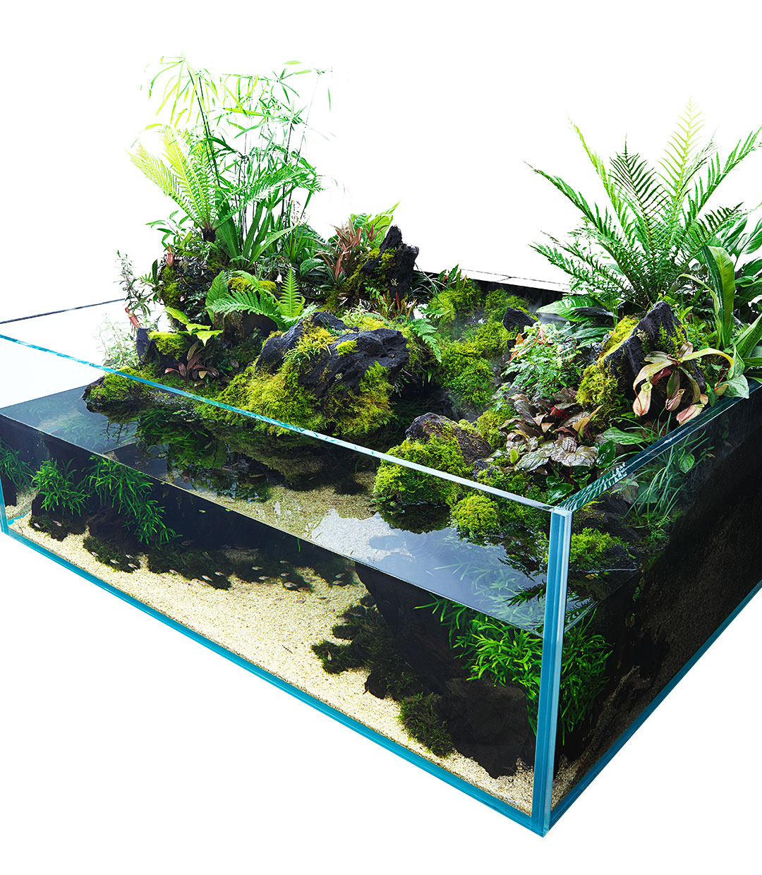 NATURE IN THE GLASS 「水はめぐる」PART 1 | AQUA DESIGN AMANO