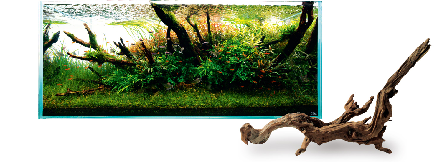 ADA LAYOUT MATERIAL 「流木」 | AQUA DESIGN AMANO