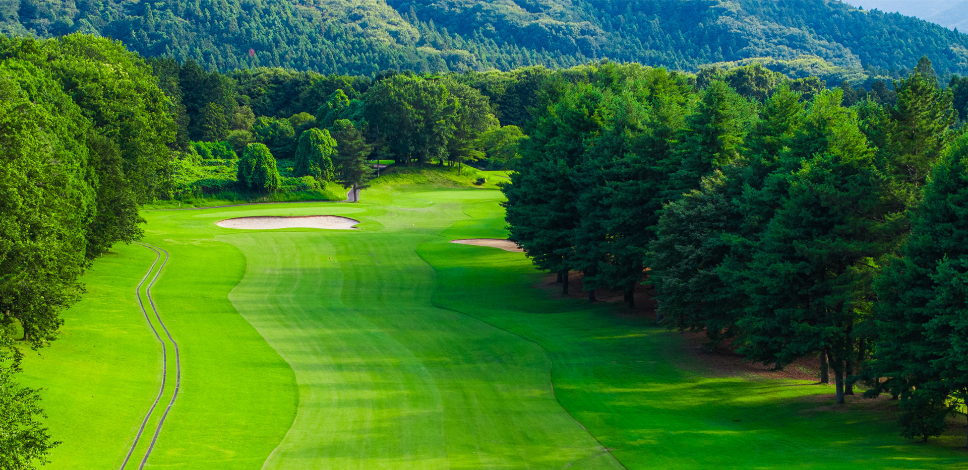 茨城県笠間市のゴルフ場 かさまフォレスト【公式】