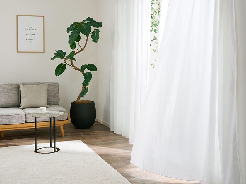 高い遮熱・保温効果を備えたおしゃれな節電対策 レースカーテンが新