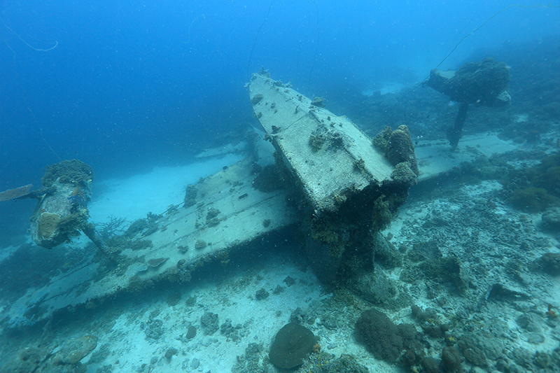 初撮影に成功！第二次世界大戦中に沈んだ『二式水戦(二式水上戦闘機