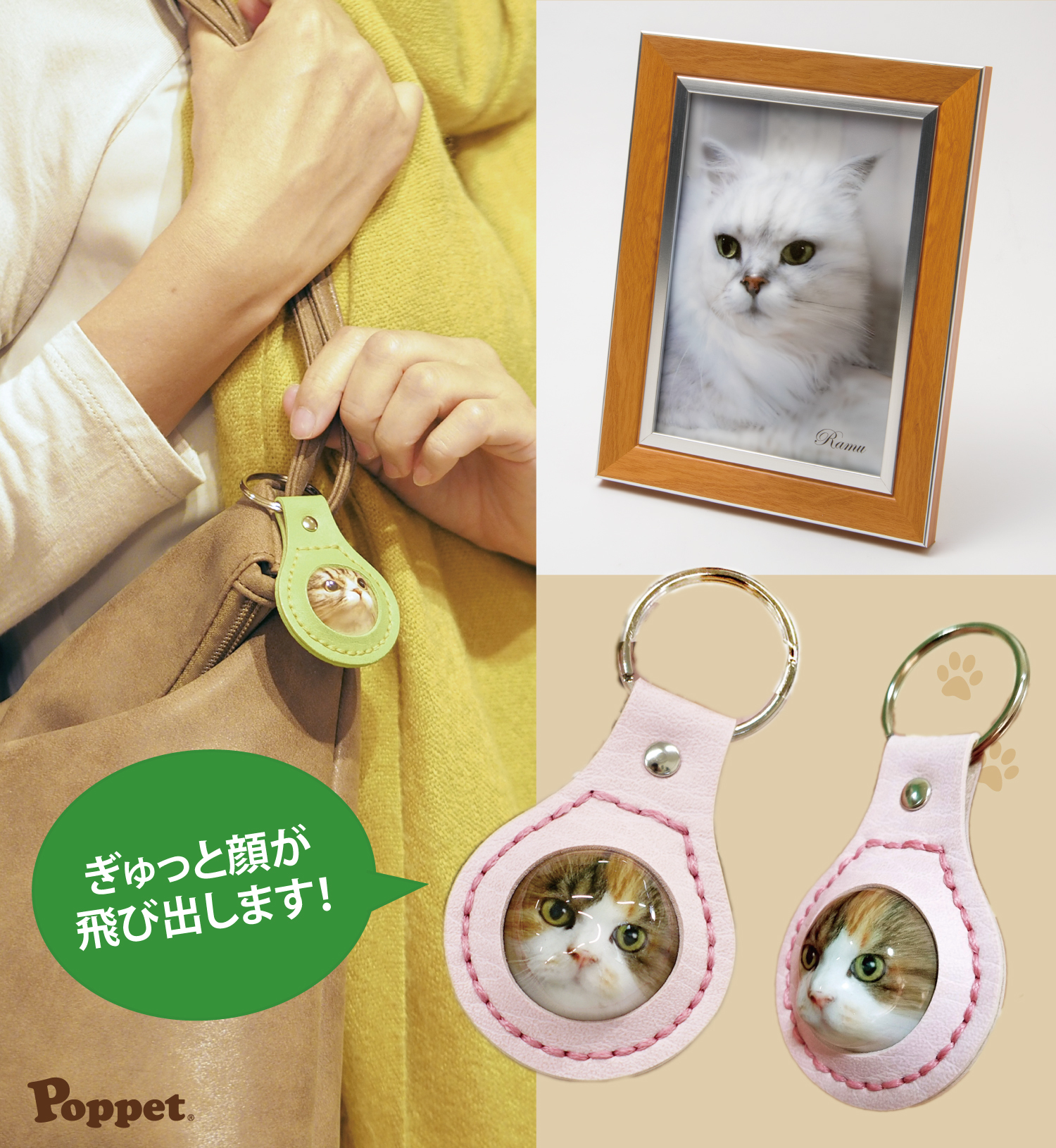 愛猫の顔がポンと飛び出すペットフォト「Poppet」が 東京・台東区で