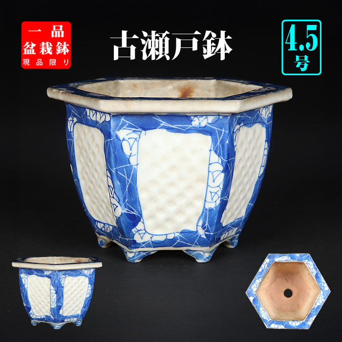 日本古窯 | 盆栽、盆栽書籍、盆栽鉢の通販│近代出版