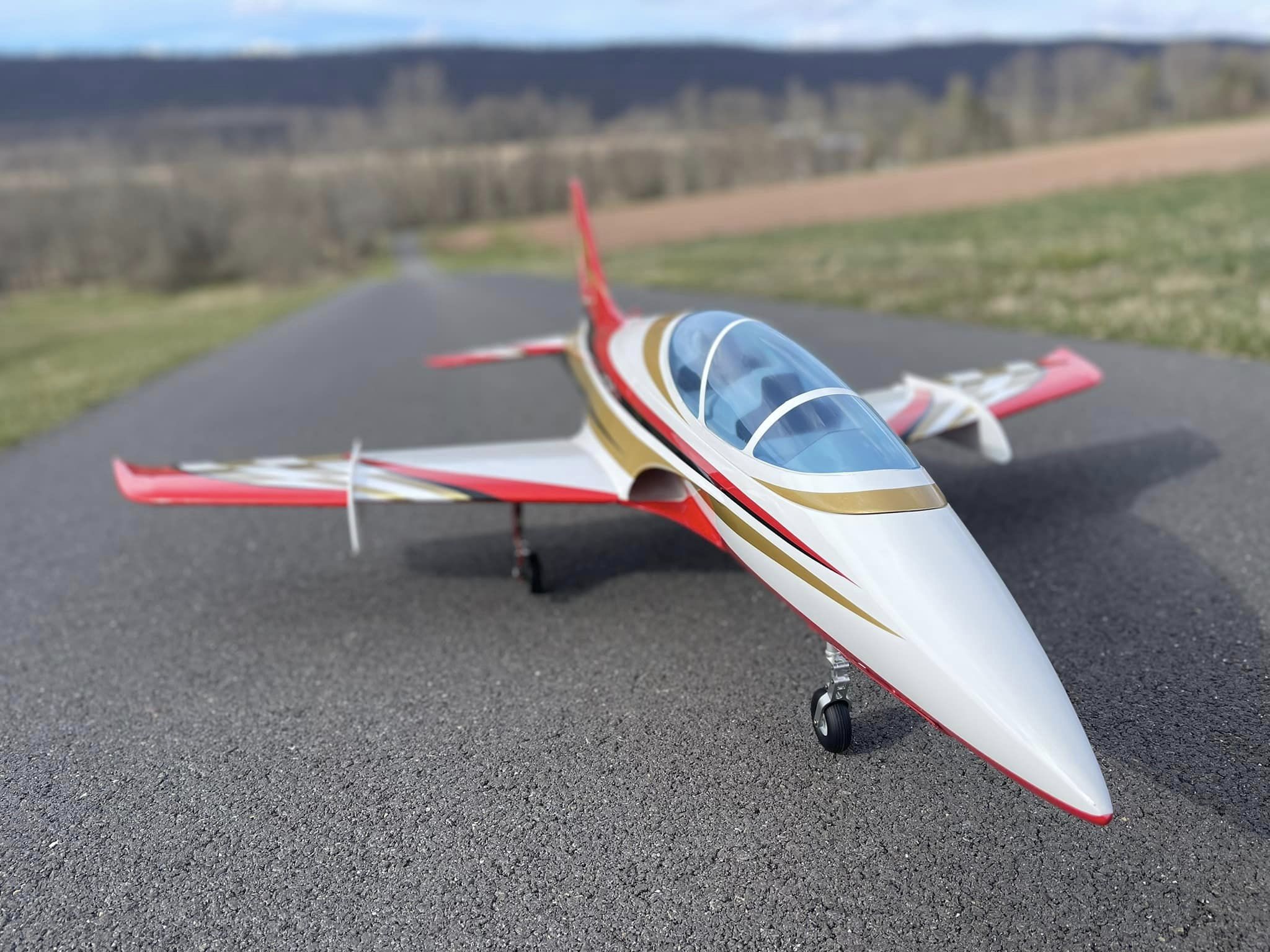 SebArt Mini Avant S EDF ジェットトレーナー SebArt Mini Avant S EDF