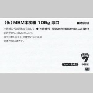 「裸婦」　木炭　木炭紙(50㎝×65㎝) 専用】木炭画 裸婦 デッサン 木炭紙判 約500×650mm 立ちポーズ 木炭