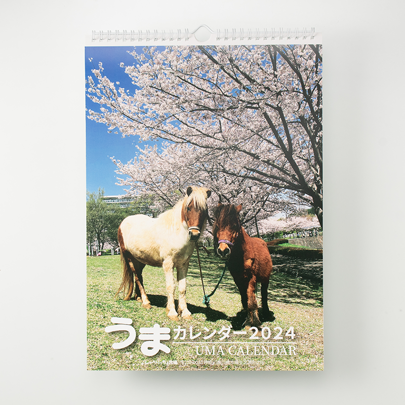 壁掛けカレンダー（リング製本／B4サイズ／月めくりタイプ）｜しゃべり