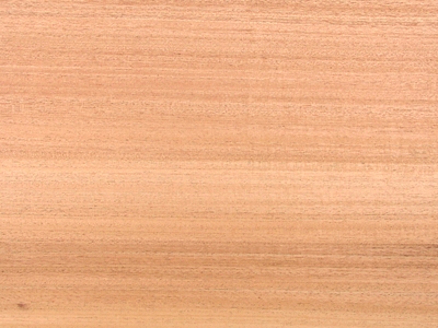 ボディー材 マホガニー 2P通販｜ギターワークス