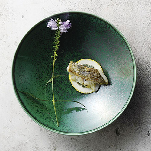 Daiichi F&L / プレート アイビーグリーン | フィノ