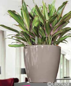 ドイツ製プランター「レチューザ」は最長12週間水やり不要！ | 環境