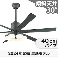 大幅値下げ中❣️【新品未使用】シーリングファンライト　シルバー　送料込み LEDシーリングファンライト（6灯：ホワイト+ナチュラル/ブラック+