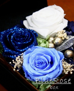 ブルーローズ カテゴリ商品一覧｜レインボーローズ プリザーブド