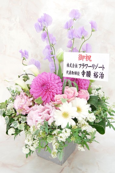 087.com お花ドットコム】開店祝い花・楽屋花・お花のギフト
