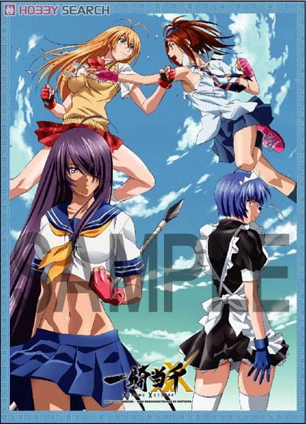 一騎当千XX タペストリー 集合 (キャラクターグッズ) - ホビーサーチ