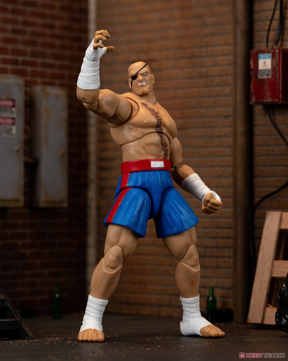 ストリートファイター サガット アクションフィギュア (完成品