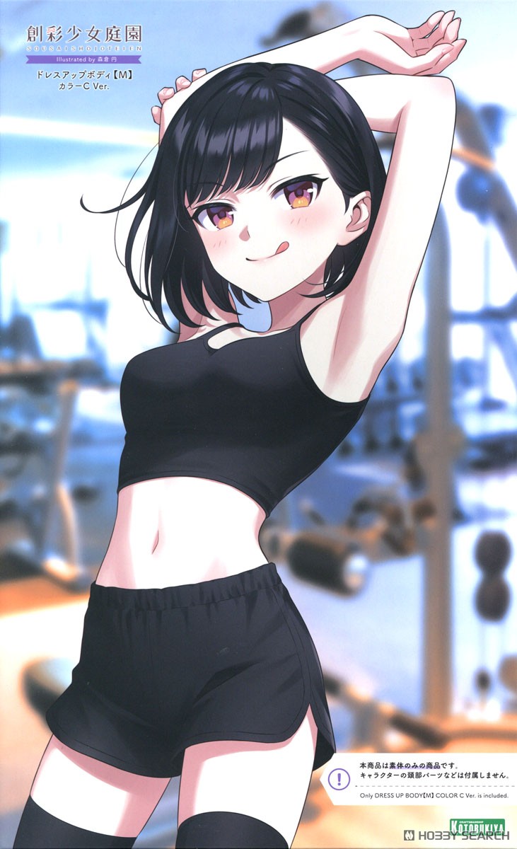 創彩少女庭園 ドレスアップボディ【M】カラーC Ver. (プラモデル