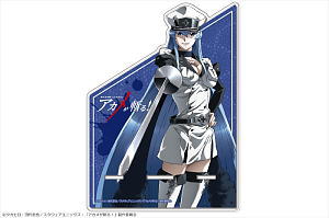 アカメが斬る!」 アクリルマルチスタンド デザイン02 エスデス