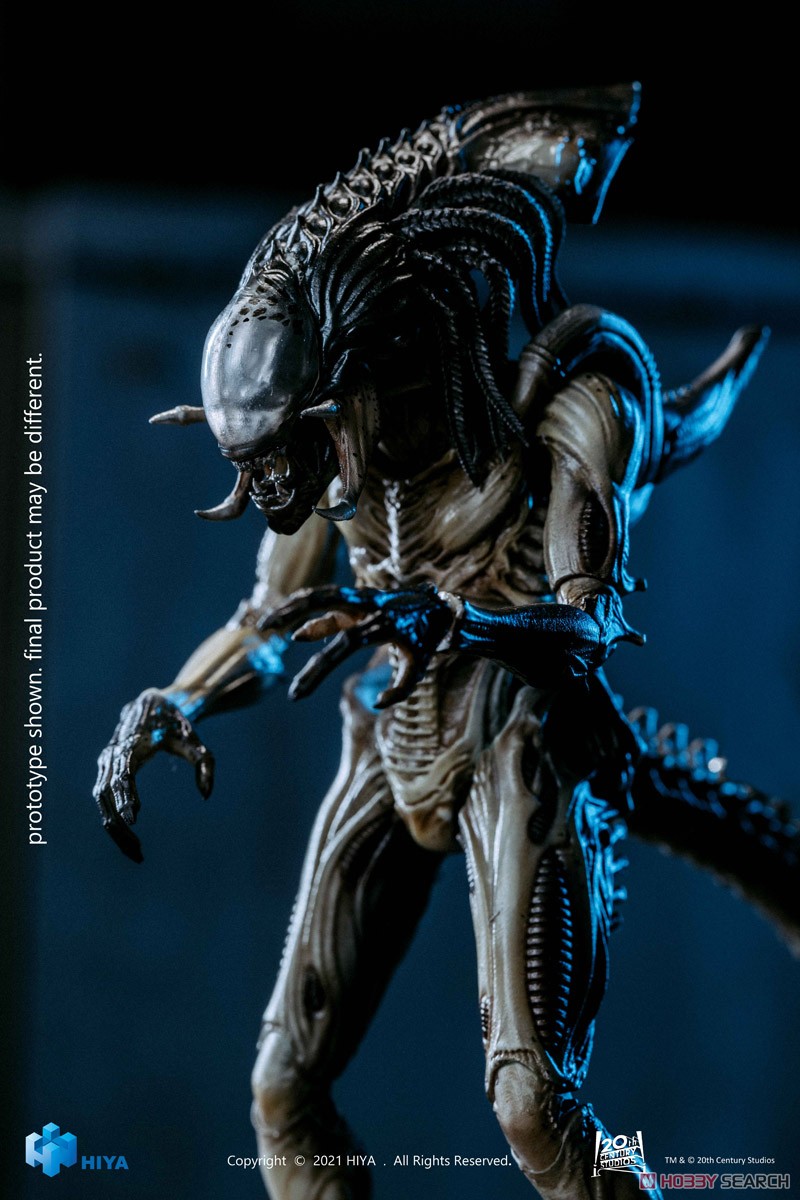 AVP2 1/18 アクションフィギュア プレデリアン (完成品) - ホビー