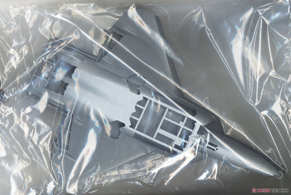 Ace Combat 7: Skies Unknown F-22 Raptor `Strider 1` (Plastic model