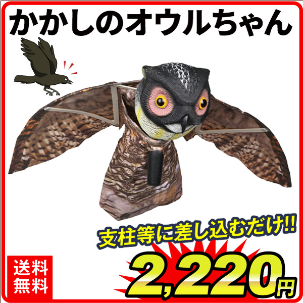 国華園オンラインショップ / 動物よけ 鳥よけ かかしのオウル ちゃん