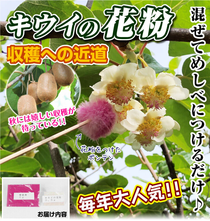 国華園オンラインショップ / 果樹苗 資材 キウイの花粉+増量剤 1組
