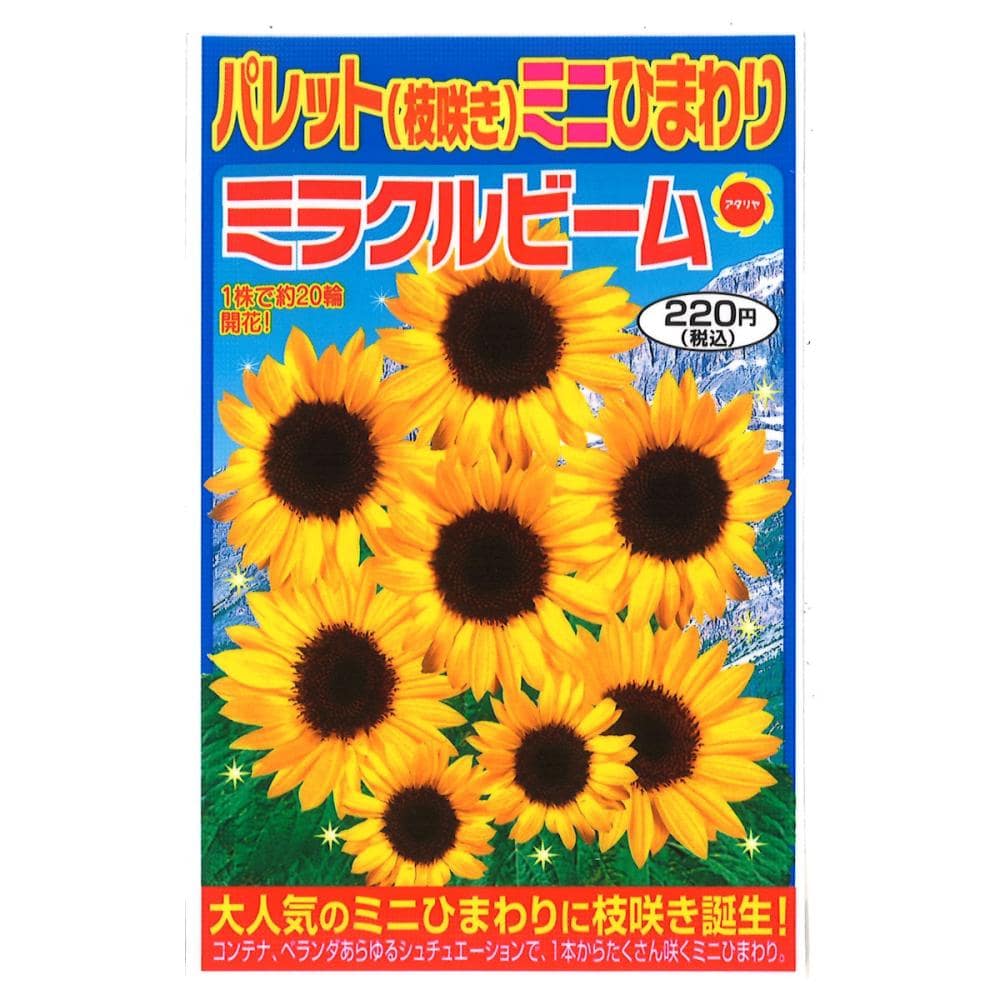 ヒマワリ種子 ひまわり F1 コンサートベル の通販 | ホームセンター
