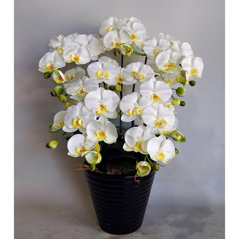 造花 胡蝶蘭 5本立ち 白黄 の通販 | ホームセンター コメリドットコム