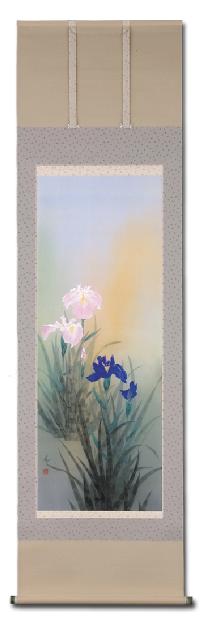 菖蒲 中沢勝 尺五立 肉筆！ 夏 - 掛け軸（掛軸）販売通販なら掛け軸総本家