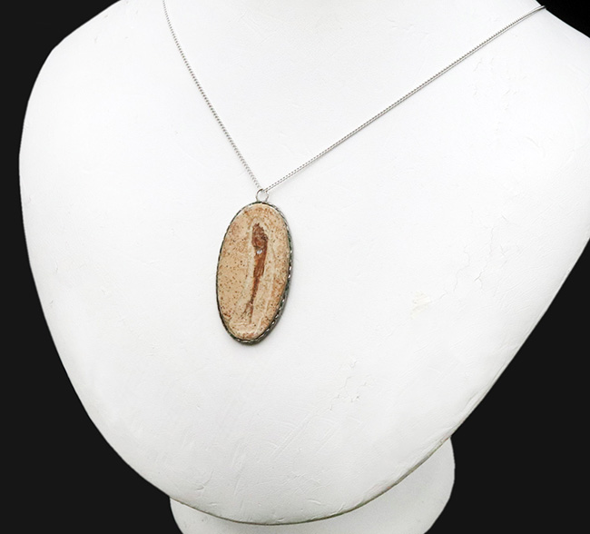 約1億年前の古代魚、ダスティルベ（Dastilbe）のペンダントトップ