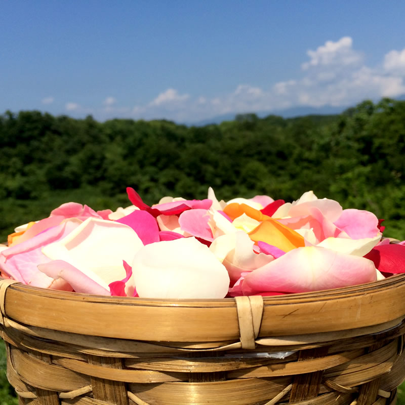 フラワーシャワー 生花｜結婚式・ブライダル・ウェディング｜熊谷園芸